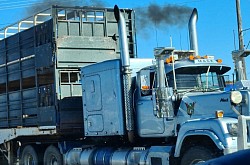Superliner